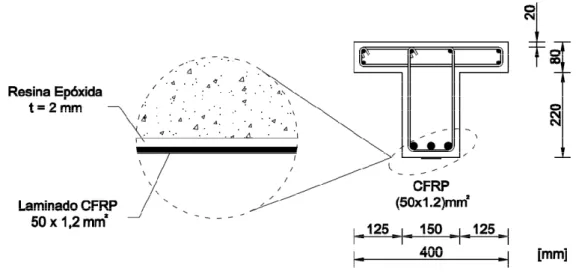 Figura 4.4 – Pormenorização transversal do sistema de reforço testado nos modelos TSC2 e TSC3 