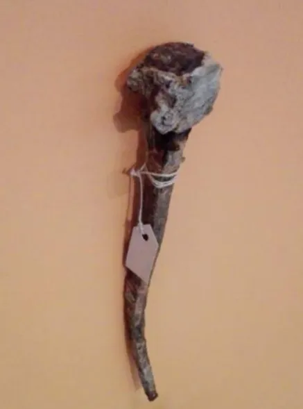 Figure 5.1 - Example of the nail used in the Pombaline buildings exhibited at Museu do Dinheiro – Banco  de Portugal