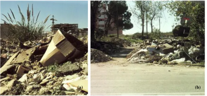 Figura 2.1  –  Depósitos ilegais de resíduos de construção e demolição 