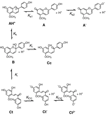 Figure  1.14  –  Network  of  chemical  reactions  for  7,4’ dihydroxy 5 methoxyflavylium  in  solution [69] (see section 1.3.4.1)