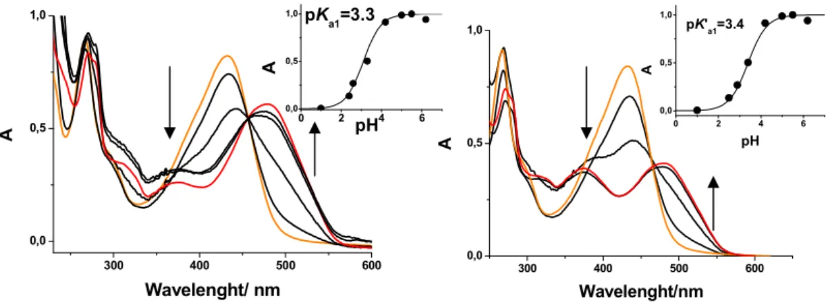 Figure 1.21   UV/Vis absorption spectra of dracorhodin (5X10 6  M) at pH=1.0 to higher pH  values: pH=2.5; pH=3.4; pH=5; pH=5.5; pH=6.2