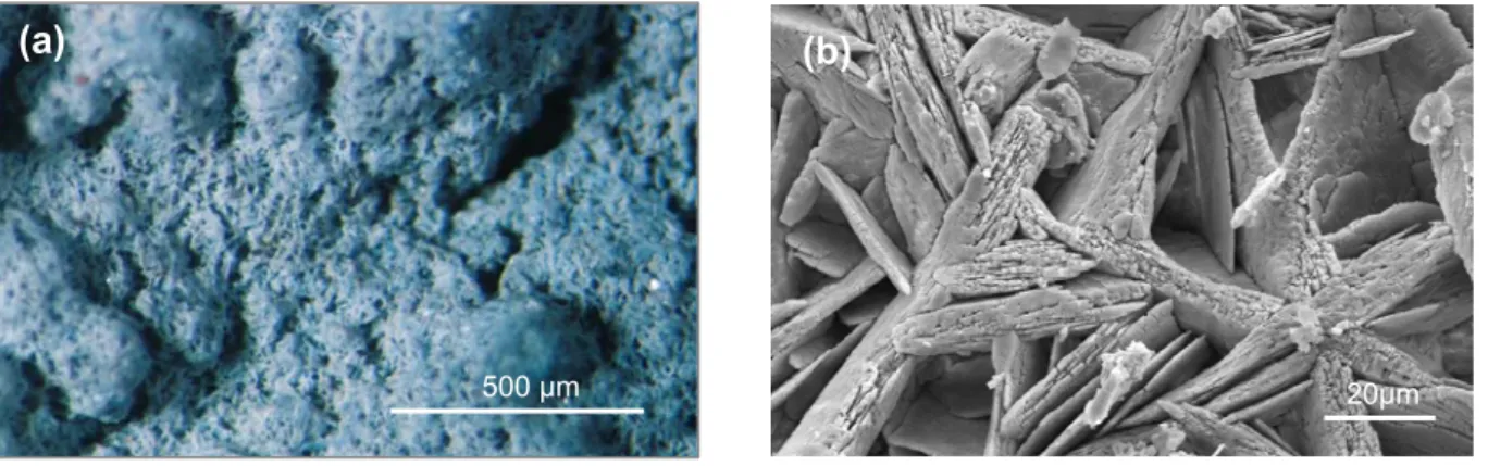 Figura 7 – Morfologia de amostras de crostas negras observados à lupa binocular e EDS-SEM 