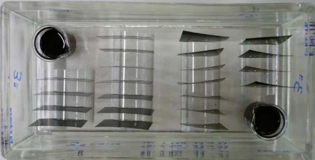 Figura VII.1 – Tina de vidro com um grupo de amostras dos dois tipos de negativos arrumados nos seus suportes, e  copos com solução de CoCl 2  saturada, no seu interior (antes dos inicio do ensaio)