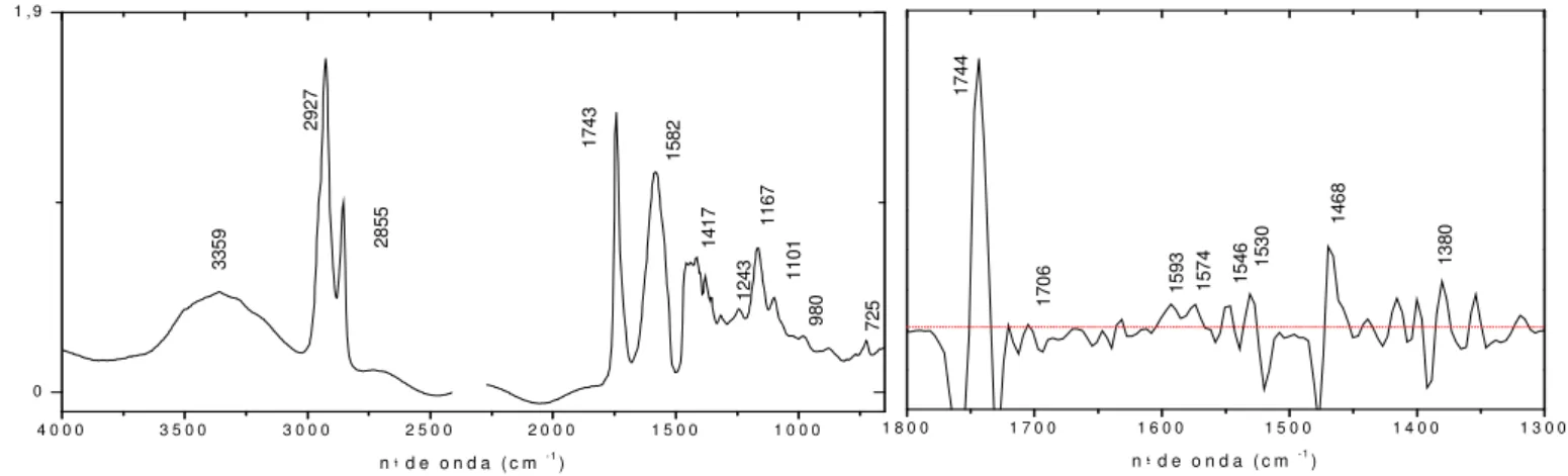 Figura 7 – Espectro de Infravermelho e respectiva 2ª derivada da amostra do ASC 8 branco zinco