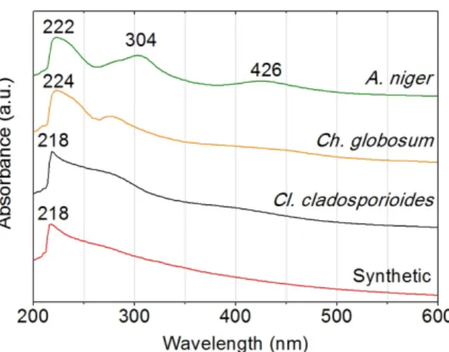 Figure 3.5. UV-Vis spectra of the purified melanins. 