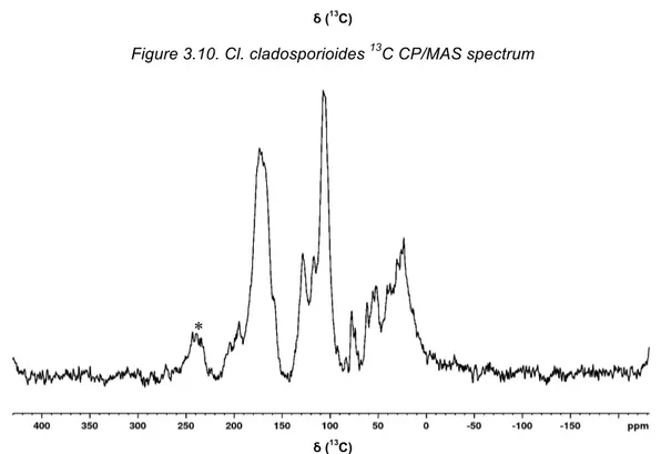 Figure 3.11. A. niger  13 C CP/MAS spectrum. *Spinning Side Bands. 