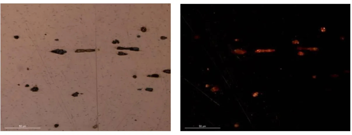 Table 5 shows that the old plates present relatively large grains and a low content of cuprous oxide  inclusions  (see  figures  4-6  and  Appendix  IV.4)