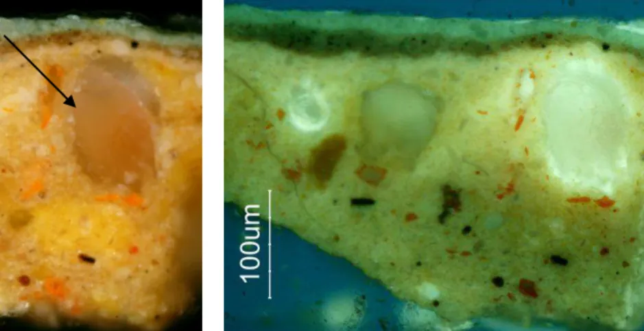 Figure 10: OM image of the sample X10: total  magnification 200x, Vis. light - Polarized Light 