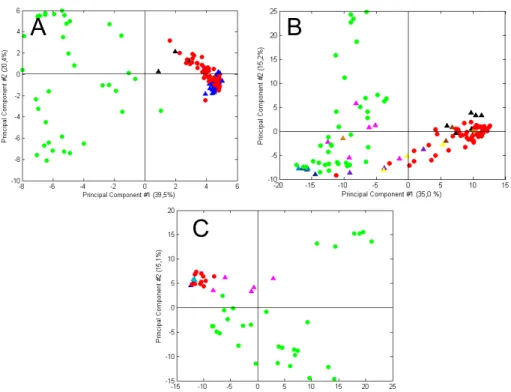 Figure 7 – PCA scores for the 87 unknown cochineal specimens projected onto reference cochineal  samples D