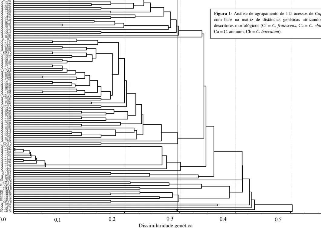 Figura 1- Análise de agrupamento de 115 acessos de Capsicum  com  base  na  matriz  de  distâncias  genéticas  utilizando-se  57  descritores morfológicos (Cf = C