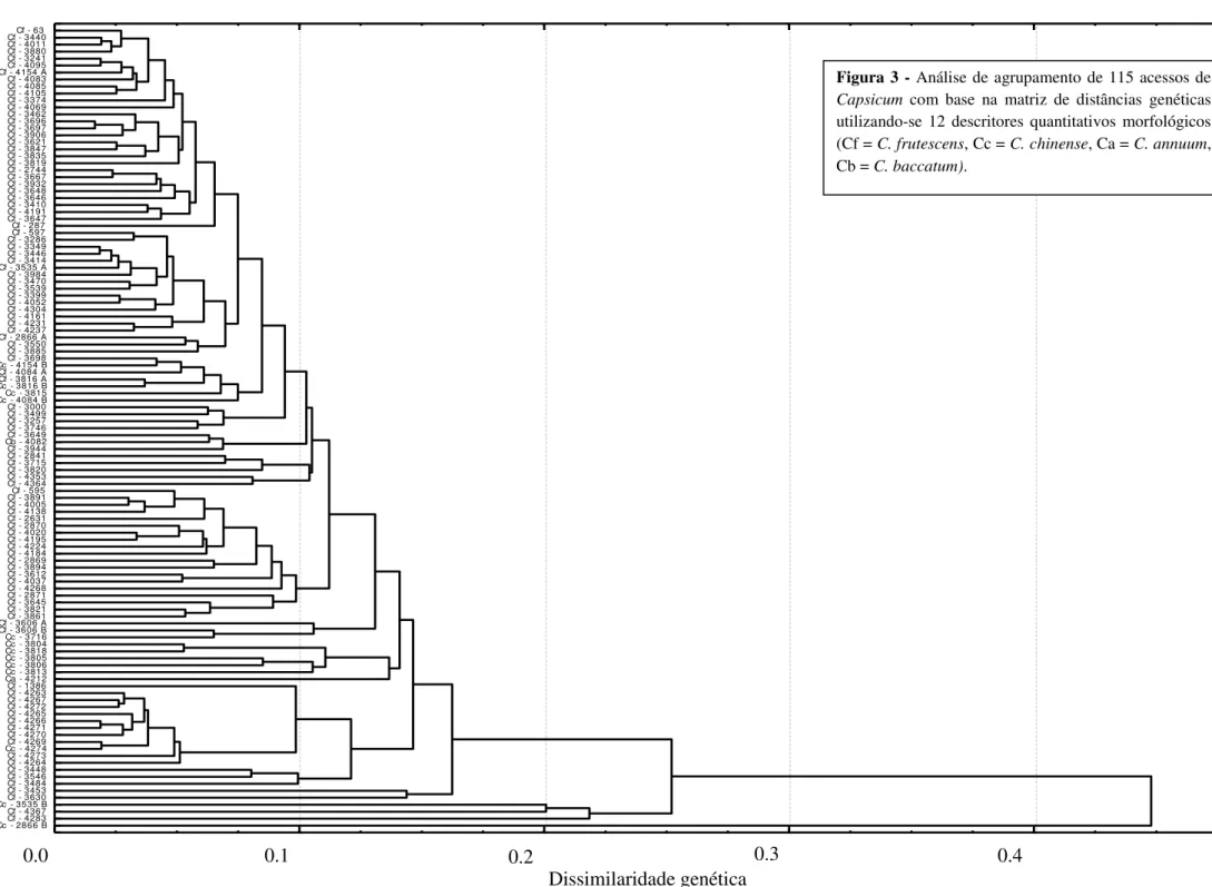 Figura 3 - Análise de agrupamento  de 115 acessos de  Capsicum  com  base  na  matriz  de  distâncias  genéticas  utilizando-se  12  descritores  quantitativos  morfológicos  (Cf = C