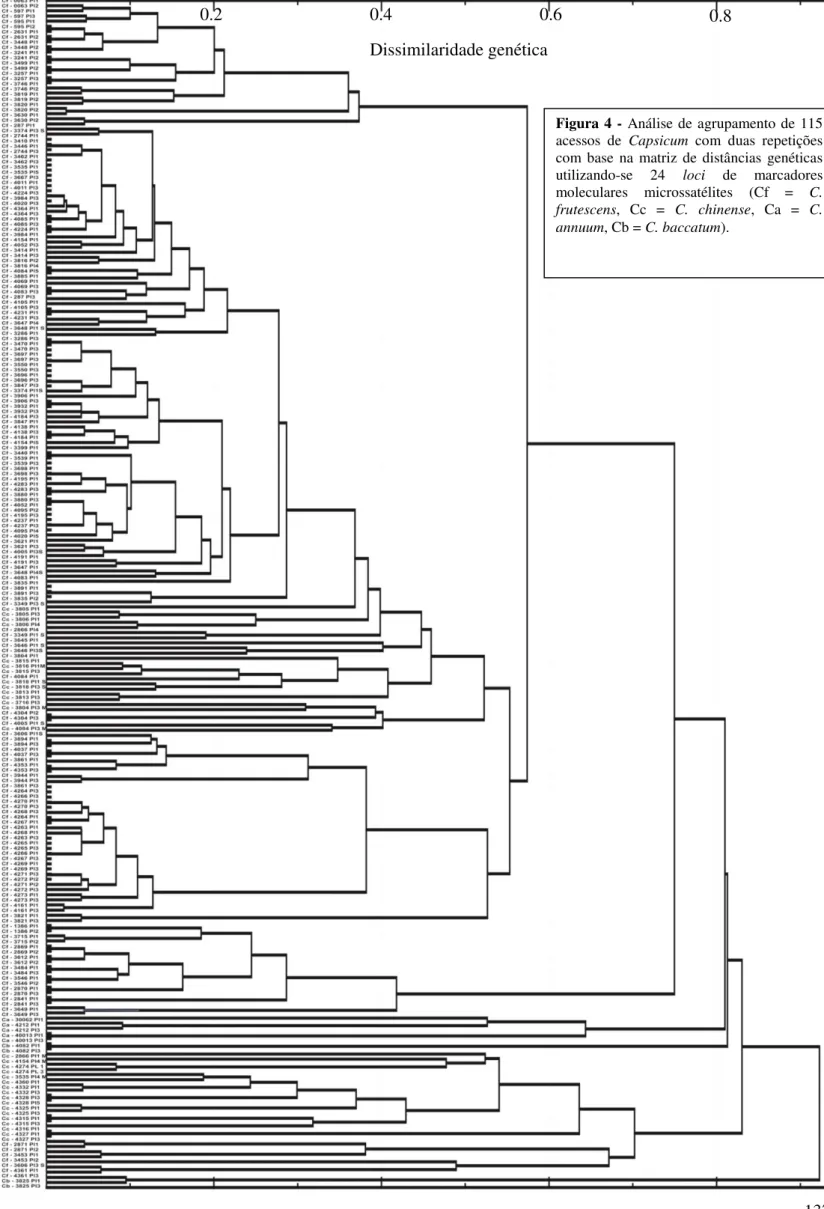 Figura 4 -  Análise de agrupamento de 115  acessos  de  Capsicum  com  duas  repetições  com  base  na  matriz  de  distâncias  genéticas  utilizando-se  24  loci  de  marcadores  moleculares  microssatélites  (Cf  =  C