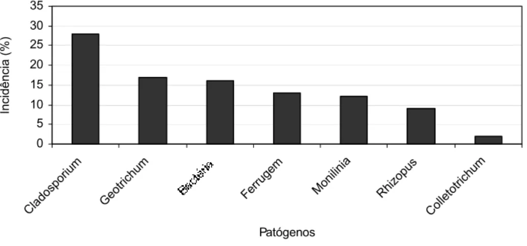 Figura 10 – Incidência (%) de patógenos mais detectados em pêssegos, em pós-colheita, durante  avaliações na CEAGESP, SP, na safra 2004 