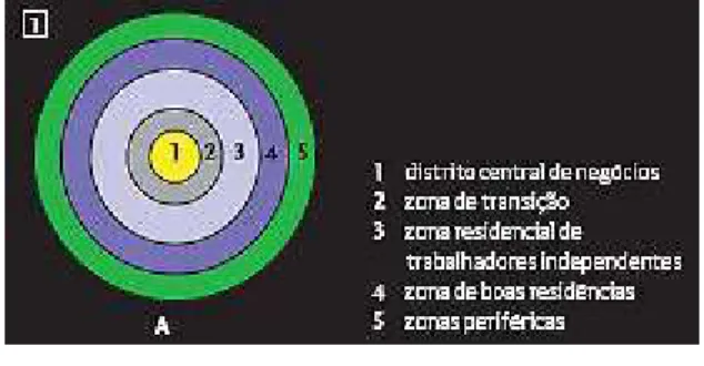 Figura 1a: Modelo de círculos concêntricos . Fonte: Ribeiro e Silveira, 2009.