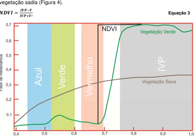 Figura 4: NDVI e a Relação com a reflectância de alvos de superfície em função de comprimento de onda