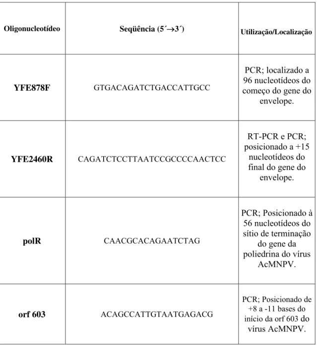 Tabela 1: Lista dos oligonucleotídeos utilizados no trabalho 