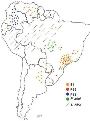Figura  1.  Distribuição  geográfica  de  Paracoccidioides   spp.  S1  ocorre  no  Brasil,  Argentina,  Paraguai,  Uruguai,  Peru  e  Venezuela