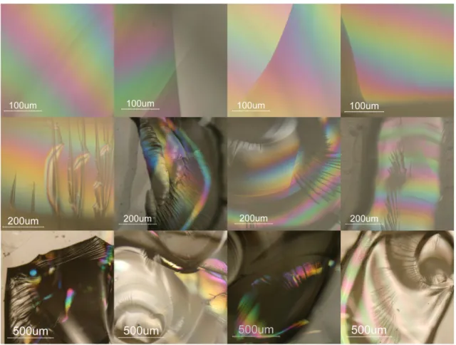 FIGURE 8 Microscopic series (12) of images from light reflections inside the thermally stressed glass 
