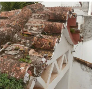 Fig.  2.5  shows  roofing  tiles  colonized  by  a  very  mature  community  of  organisms  that  include  lichens, bryophytes and vascular plants