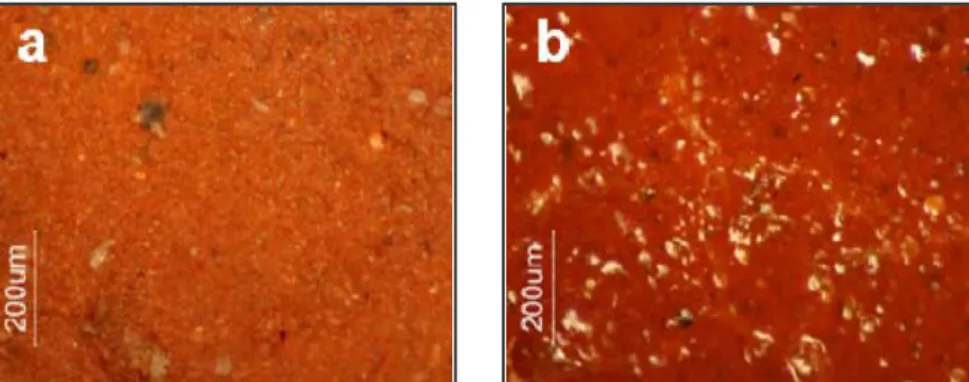 Figure 5.4 - 100x OM images with visible light, the effect of varnish: a) OG-S, unvarnished surface; b) OG-S- OG-S-Ca, sample with casein varnish.