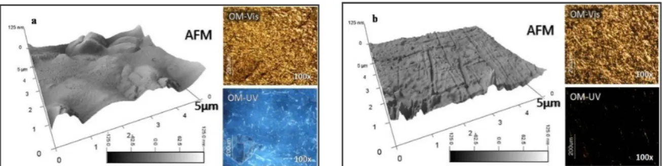Figure 5.9 - 3D rendering of the AFM topographic image and OM with visible light and UV light, images set of  animal glue coating from a gilded surface sample (a) Before cleaning  