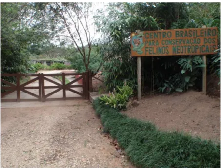 FIG 1 – Centro Brasileiro para Conservação dos Felinos Neotropicais, Jundiaí/SP. 