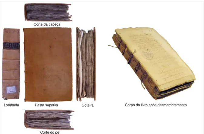 Fig. 1.1 Encadernação do livro (esquerda) e corpo após desmembramento onde são visíveis os nervos (direita) Corpo do livro após desmembramento 