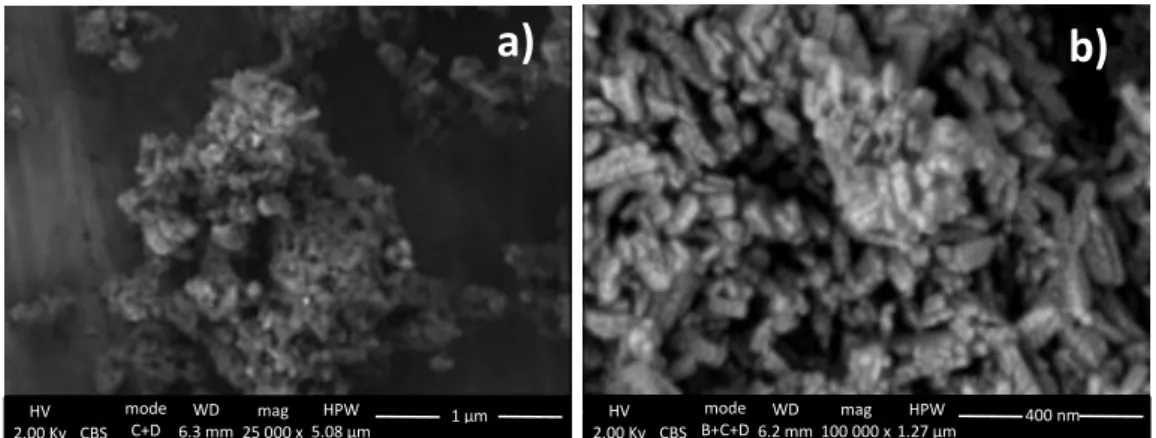 Figure 22. FEG-SEM images in CBS mode showing a) pigment from 1980 and b) 833 pigment, performed  by Ineke Joosten