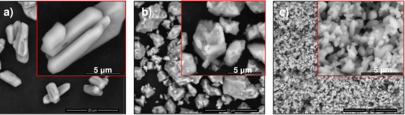 Figure 10. SEM 