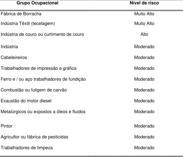 Tabela 2. Descrição das profissões de acordo com o nível de risco  