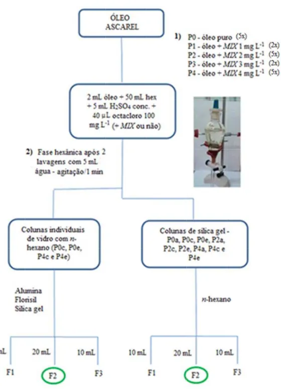 Figura 23 3 - Esquema d da extração dee PCBs de óleo ascarel por c colunas cromaatográficas de e vidro 