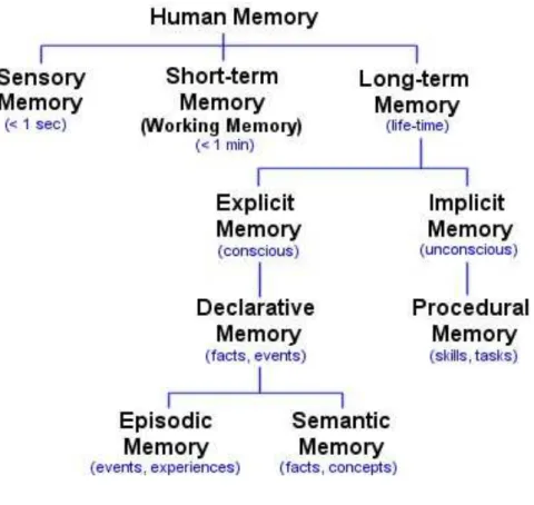 FIGURE 3. TYPES OF HUMAN MEMORY -Diagram by Luke Mastin-
