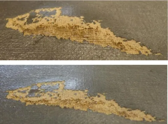 Figure 5 - Before (top) and after (bottom) tear repair treatment.