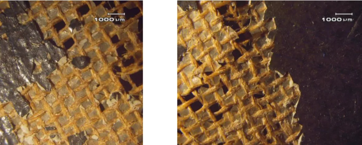 Figure II.3  –  Detail of missing paint composite associated with the tear. The size layer is visible  between canvas threads