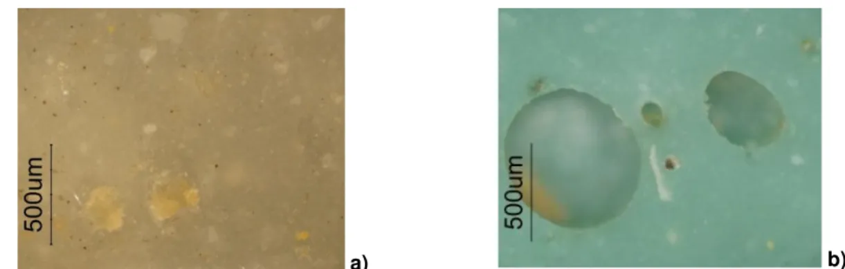 Figura 3.14  –  a) Tessela P9 analisada sob microscopia óptica; b) Tessela C5 observada sob microscopia óptica