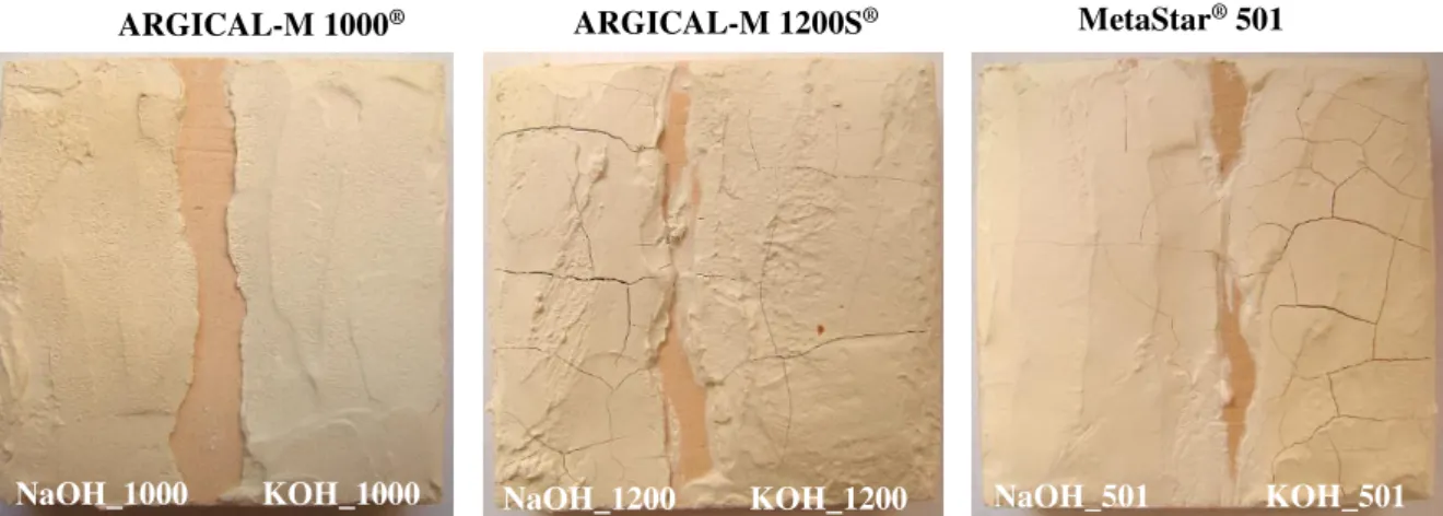 Table  4.  Results  of  the  visual  observation  of  the  geopolymer  pastes  prepared  with  MK  1000 mixed with the six activators cured at 21 ºC