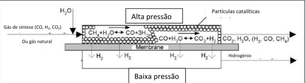 Figura 4.7  –  Princípio de funcionamento de um reator com membrana seletiva (adaptado de Metz et  al., 2005) 