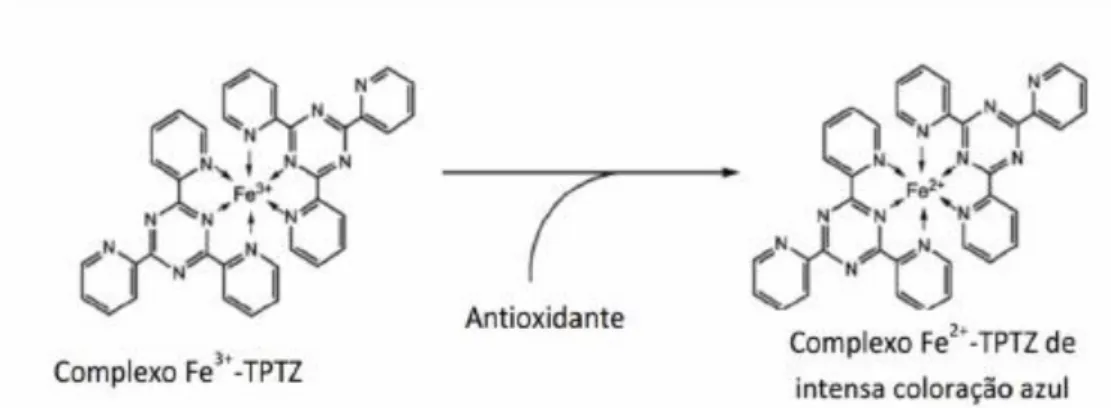 Figura 2.2 – Reação de formação do complexo Fe 2+ -TPTZ após redução de Fe 3+  devido à ação  de um antioxidante (adaptado de Prior et al., 2005)