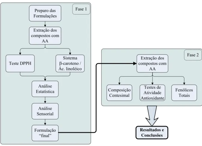 Figura 6. Esquema do protocolo experimental. AA = atividade antioxidante. 