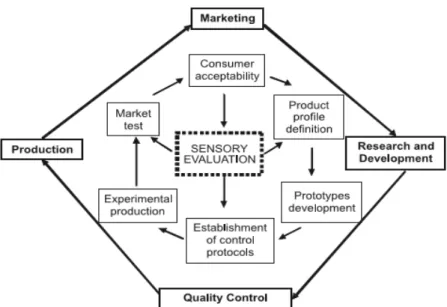 Figura 1.1- Importância da análise sensorial dentro de uma indústria alimentar  (Carbonell-Barrachina., 2007) 