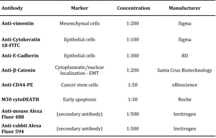 Table  2.2  :  List  of  antibodies  and  respective  dilutions  used  for  immunofluorescence  microscopy  assays 