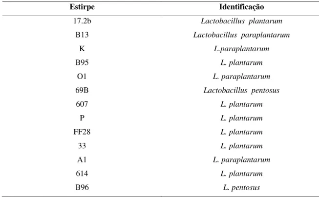 Tabela 3.1 Estirpes selecionadas para avaliação do potencial probiótico. 