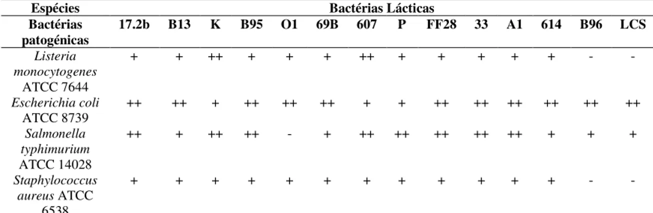 Tabela 4.2 Atividade antimicrobiana das estirpes de Lactobacillus spp. frente a bactérias Gram-negativas e  Gram-positivas