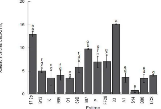 Figura 4.4 Capacidade de adesão a células Caco-2 (%) das estirpes de Lactobacillus spp