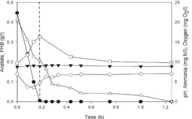 Figure 1.5 – Illustration of a typical FF cycle carried out in a SBR, using acetate (  ) as substrate for  PHB (  ) production