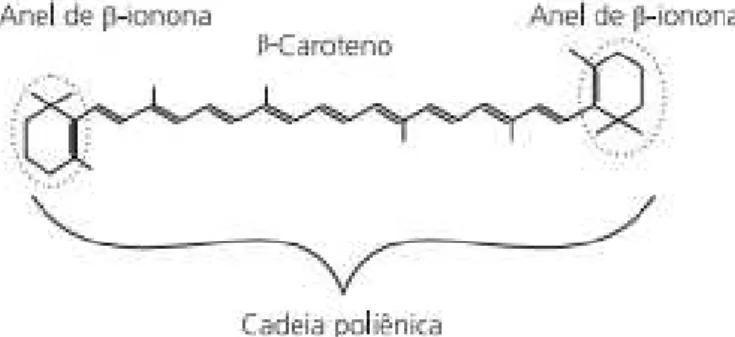 Figura 1.8 - Estrutura química do β-caroteno e identificação do anel β-ionona (Arscott &amp; Tanumihardjo,  2010)