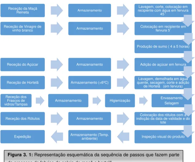 Figura 3. 1: Representação esquemática da sequência de passos que fazem parte  do processo de fabrico da geleia de maçã e hortelã.