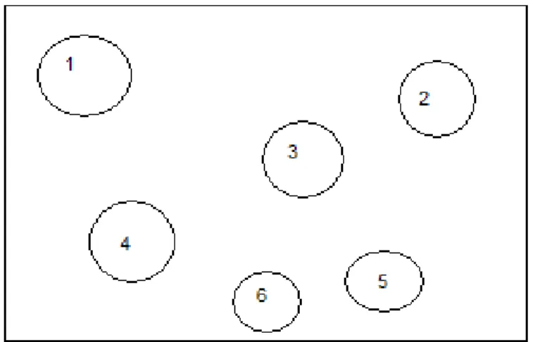 Figura 7 – Ilustração indicando esquema da seqüência  de numeração glomerular iniciada da  margem superior para a inferior e da  margem esquerda para a direita 