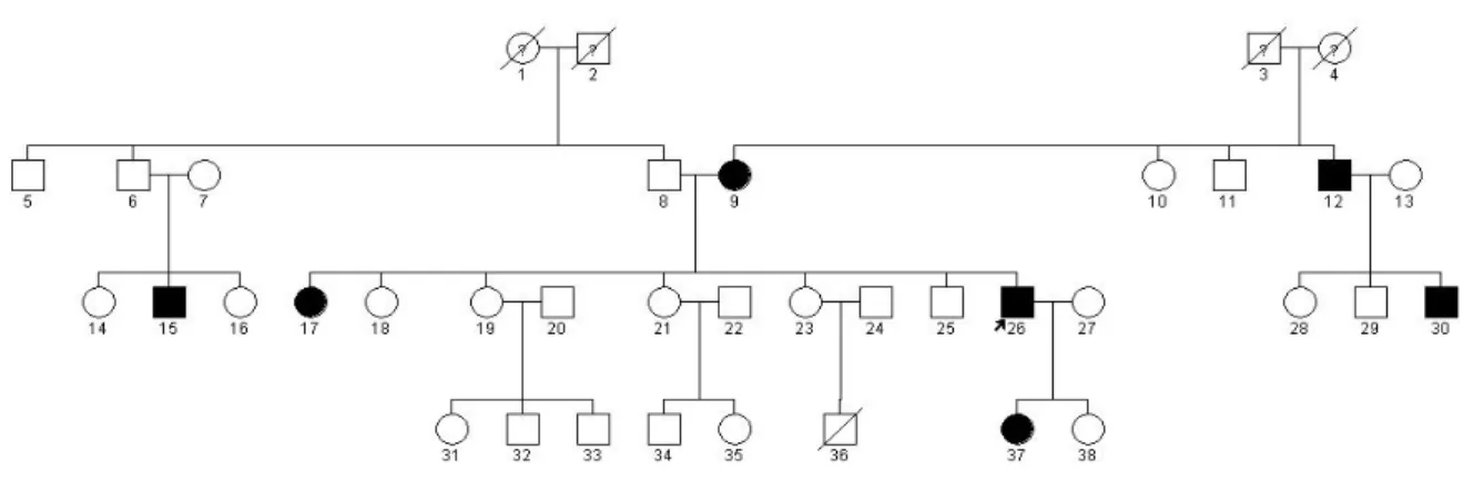 FIGURA 8 –Heredograma mostrando dois padrões distintos de herança. O lado direito do  heredograma mostra uma herança autossômica dominante