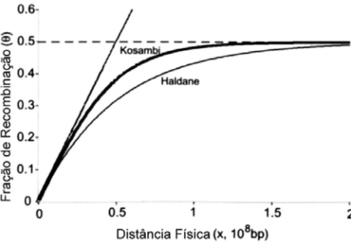 FIGURA 1 - Mapa de Haldane, que mostra a relação entre a distância física (x) em  pares de base (pb) e a fração de recombinação ( θ ) em Morgans (M), e o  Mapa de Kosambi, que faz uma correção no mapa de Haldane, levando em  consideração o fenômeno da inte